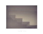 dailyPhoto9