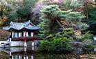 dailyPhoto3