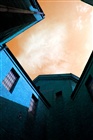 dailyPhoto29