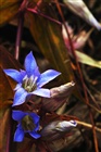 dailyPhoto19