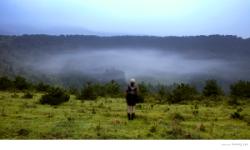 dailyPhoto9