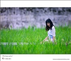 dailyPhoto3
