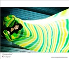 dailyPhoto35