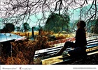 dailyPhoto36