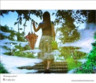 dailyPhoto5