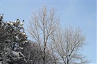 dailyPhoto21