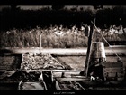 dailyPhoto30