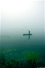 dailyPhoto5