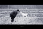 dailyPhoto7