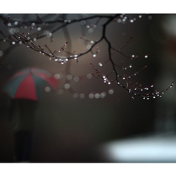 dailyPhoto9