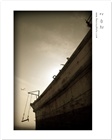 dailyPhoto12