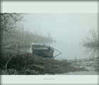 dailyPhoto9