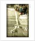 dailyPhoto36