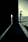 dailyPhoto17