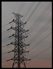 dailyPhoto5