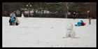 dailyPhoto11