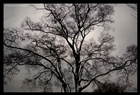 dailyPhoto38