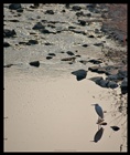 dailyPhoto8