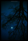 dailyPhoto13