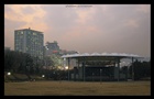 dailyPhoto8