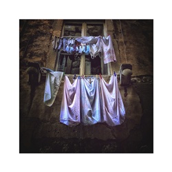 dailyPhoto40