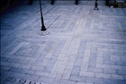 dailyPhoto38