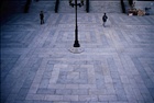 dailyPhoto29