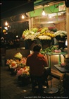 dailyPhoto4