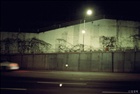 dailyPhoto7