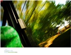 dailyPhoto10