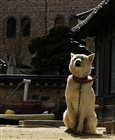 dailyPhoto30