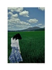 dailyPhoto3