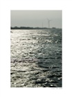 dailyPhoto32
