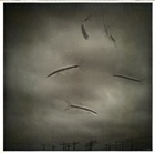 dailyPhoto22