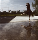 dailyPhoto8