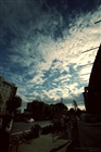 dailyPhoto27