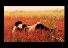 dailyPhoto8