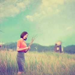 dailyPhoto40