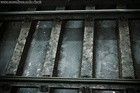 dailyPhoto27