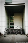 dailyPhoto19