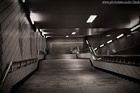 dailyPhoto25