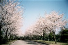 dailyPhoto21