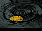 dailyPhoto26