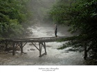 dailyPhoto2