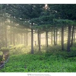 dailyPhoto34