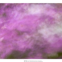 dailyPhoto29