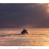 dailyPhoto40