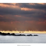 dailyPhoto39