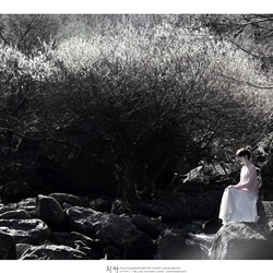 dailyPhoto35