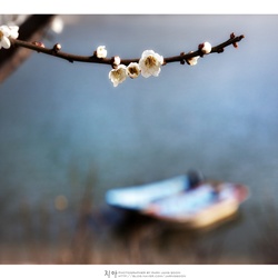dailyPhoto30